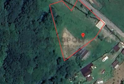 Teren Construcții intravilan de 2597 mp, în Râu Sadului