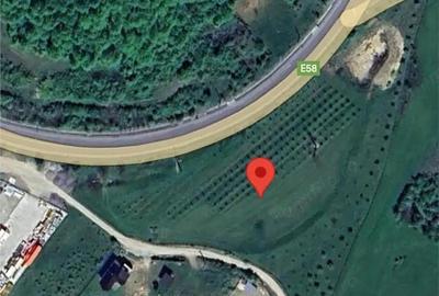 Teren de 12300 mp, în Crainimăt - 7
