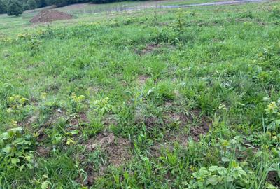 Teren de vanzare, zona linistita - 2