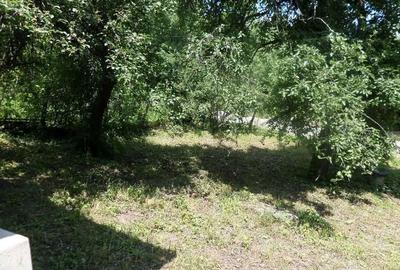 Casă cu 2 camere în Breaza - 6