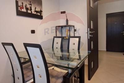 Inchiriere apartament in zona Stefan cel Mare - 10