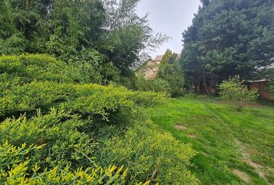 Vila individuala,la 10 min de Piața Victoriei! - 30