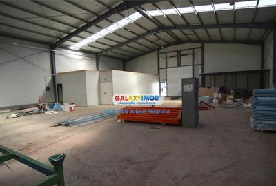 Hala Depozitare 565 mp Afumati - 9