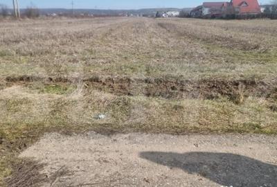 Teren în Lipănești