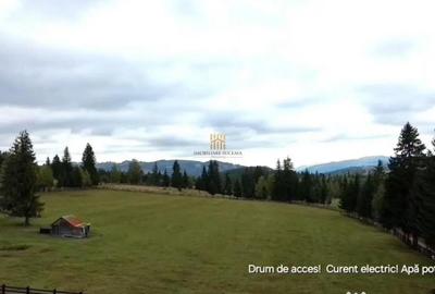 Teren de 16813 mp, în Fundu Moldovei - 7