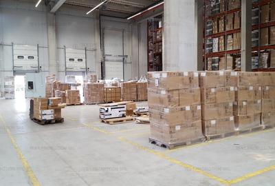 Depozit hala productie depozitare farmaceutic arhiva alimentar - 11