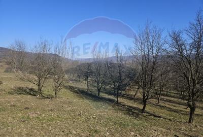 Teren agricol extravilan de 4627 mp, în Giulești - 9