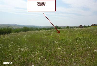 Spațiu comercial, în Cetariu - 6