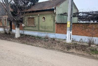 Teren de 3000 mp, în Borș