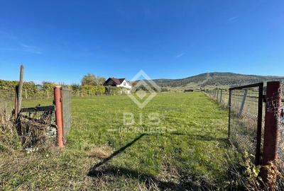 Teren de vanzare extravilan 23 ari - zona Aerodrom - 1