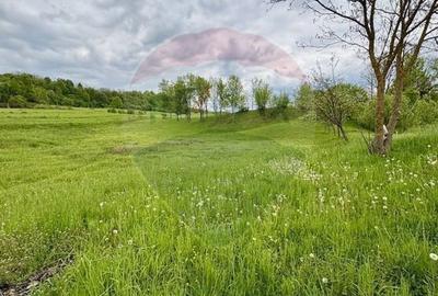 Teren agricol extravilan de 20876 mp, în Breb