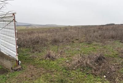 Teren de 500 mp, în Șimnicu de Sus - 3