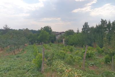 Teren Construcții intravilan de 1100 mp, în Podu Ilfovățului - 4