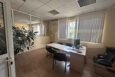 Birou, de 480 mp, în Brazda lui Novac - 4