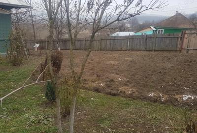 Vand casa in sat Bace?ti, comuna Bace?ti, jude?ul Vaslui - 3