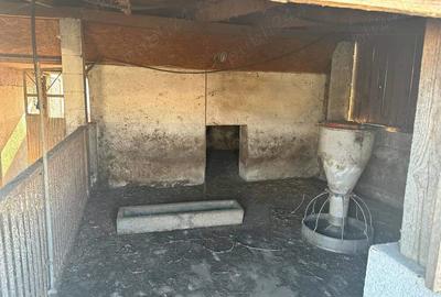 Proprietate de vanzare in Dombegyhaza - Pretabil pentru ferma - 2