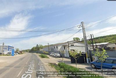 Spațiu industrial, de 60 mp, în Tomești - 1