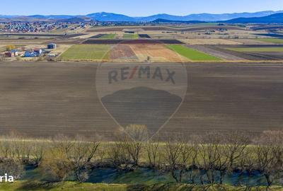 Spațiu comercial, în Bod - 8