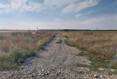 RECO Teren Cihei 504mp RECO Teren Cihei 504mp - 3