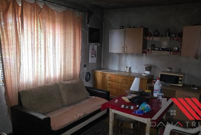 Topolovățu Mare – Casa si Teren 1683 mp - 48.500 euro - 14