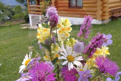 Spațiu comercial, de 240 mp, în Dârlești - 15