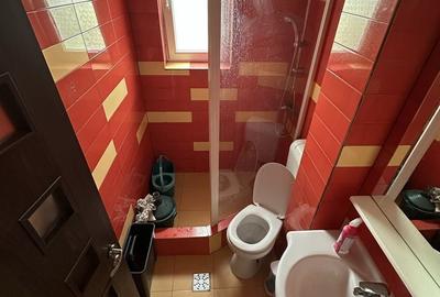 Apartament cu 4 camere decomandat în Ludoș - 5