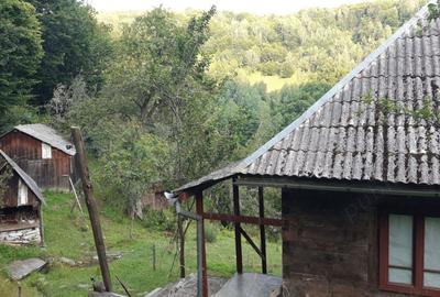 Vand casa in Bistra - 10