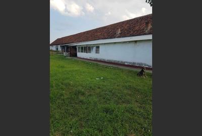Ferma langa Oravita 5600 mp construiti si teren 24281 intravilan - 5