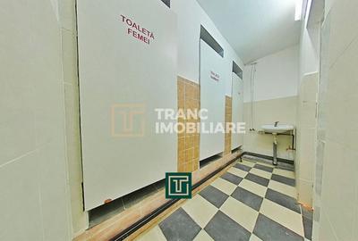 Casă cu 10 camere cu Canalizare în Aradul Nou - 13