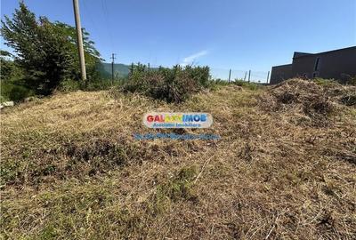 Vanzare teren 580 mp in Paulesti, langa Ploiesti