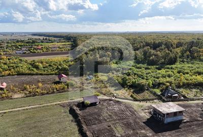Refugiu la marginea padurii -- 1000 mp de liniste in Cocani. - 6