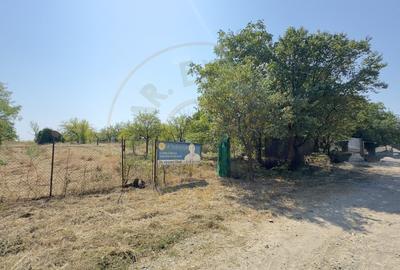 De vanzare Teren extravilan 2000 mp Carei - Gradina Viilor, Valea Tireamului