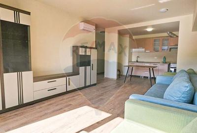 Apartament 2 camere de inchiriat mobilat si utilat Stadion Ghencea - 16