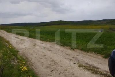 Teren de 3621 mp, în Petrești - 2