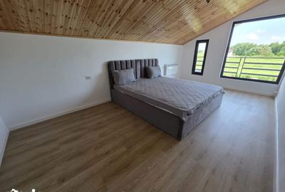Casă cu 4 camere cu Teren 500 Mp în Domnești - 1