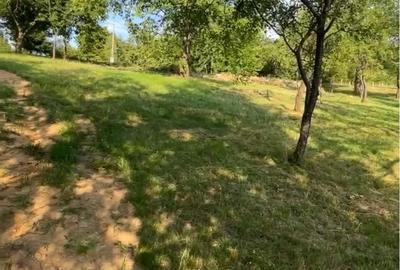 Spațiu comercial, în Șinteu - 7