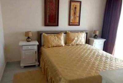 Apartament cu 2 camere decomandat, mobilat în Nufărul - 6