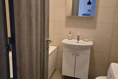 Apartament cu 2 camere nedecomandat în Roșu - 7