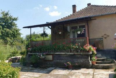 Vand casa in comuna ?icula - 1