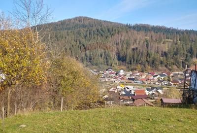 Teren cu suprafata de 3360 mp in Gura Humorului-Toaca-Boureni - 18