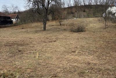 Spațiu comercial, în Roșia - 3