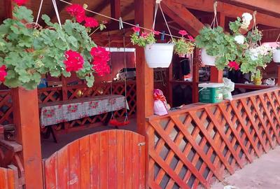Casa noua de vanzare cu etaj - 7