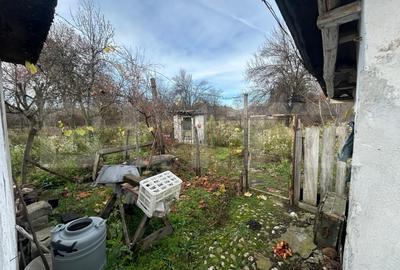 Casa 67 mp, 727 mp teren, 1190 mp extravilan, zona Doicesti - 9