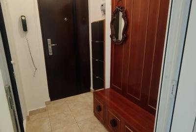 Apartament cu 2 camere semidecomandat în Kogălniceanu - 11