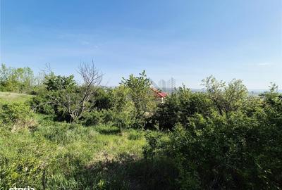 Spațiu comercial, în Tomești - 1