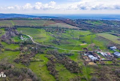 Spațiu comercial, în Valea Orlei - 14