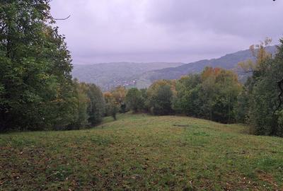 Teren de 19000 mp, în Secăria - 5