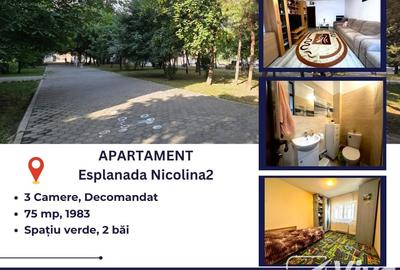 Esplanada Nicolina2 I Pizza Puffy – 75Mp, 3 Camere Decomandat