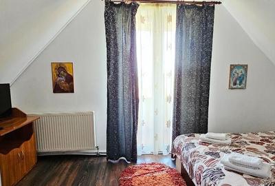 Casă cu 2 camere cu Teren 5000 Mp în Central - 4