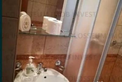 Apartament cu 4 camere decomandat, mobilat în Craiter - 9